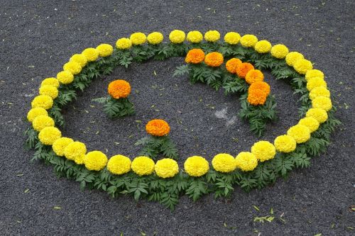 Gėlių Šypsenėlė, Geltonos Oranžinės Gėlės, Paroda, Zagrebo Floraart 2017