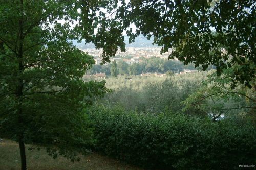 Sodai,  Parkas,  Miškai,  Florencija 2000 4