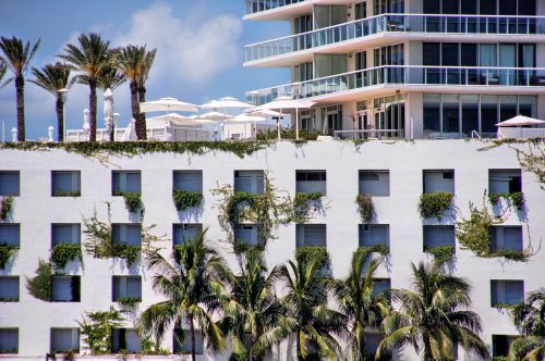 Florida,  Miami,  Dangoraižis,  Architektūra,  Stiklo Fasadas,  Abstraktus,  Palmės
