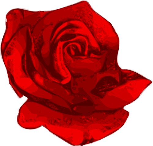 Gėlė, Raudona Gėlė, Rožė, Nemokama Vektorinė Grafika