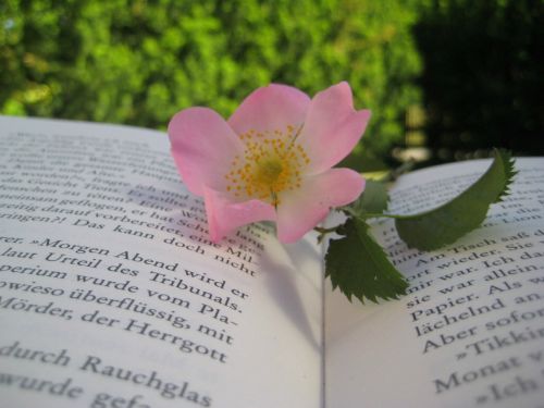 Gėlė, Gamta, Knyga
