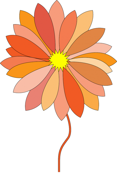 Gėlė, Oranžinė, Gamta, Nemokama Vektorinė Grafika