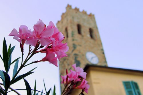 Gėlė, Torre, Žiūrėti, Viduramžių, Kampanelis, Cinque Terre, Monterosso, Ligurija, Italy