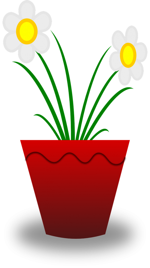 Gėlė, Augalas, Puodą, Raudona, Balta, Nemokama Vektorinė Grafika