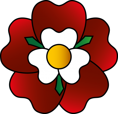 Gėlė, Rožė, Stiklas, Bažnyčios Langas, Tudor, Jork