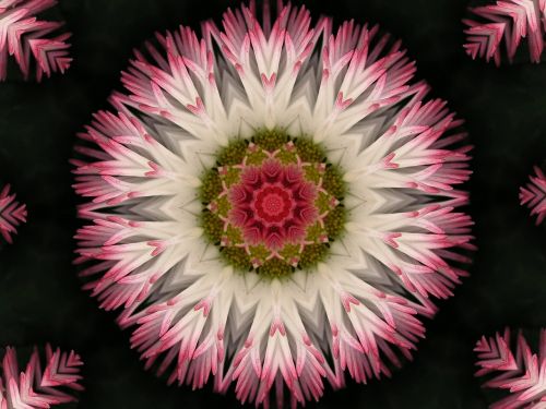 Gėlė, Kaleidoskopas, Fonas, Tekstūra