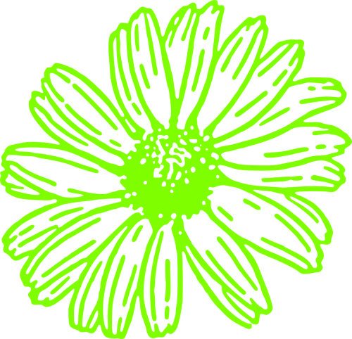 Gėlė, Marguerite, Pavasaris, Žiedas, Žalias, Botanika, Biologija, Nemokama Vektorinė Grafika