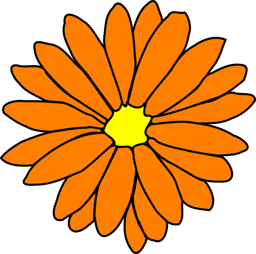 Gėlė, Žiedas, Žiedlapis, Chrizantema, Oranžinė, Apdaila, Marigoldas, Kalendra, Nemokama Vektorinė Grafika