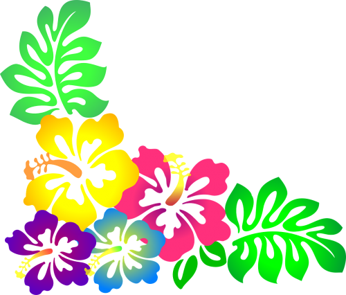 Gėlė, Hawaii, Hibiscus, Luau, Spalvinga, Nemokama Vektorinė Grafika