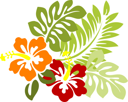 Gėlė, Atogrąžų, Lapai, Hibiscus, Hawaii, Raudona, Oranžinė, Žalias, Gamta, Nemokama Vektorinė Grafika