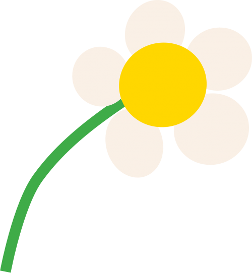 Gėlė, Daisy, Graži, Sodas, Augalas, Žydėti, Žiedas, Flora, Gražus, Nemokama Vektorinė Grafika