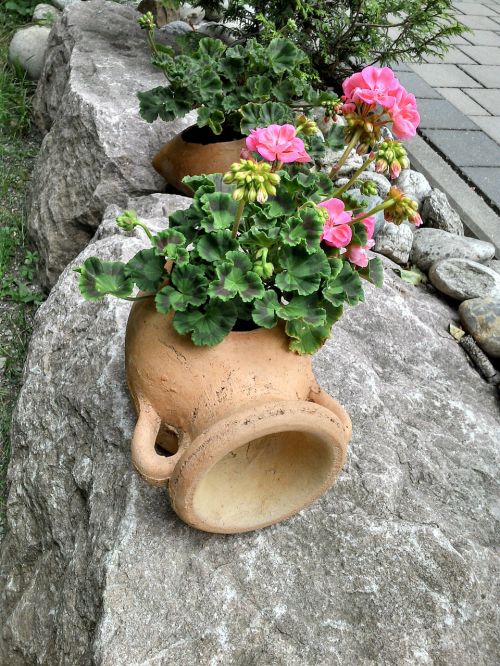 Gėlė, Geranium, Dekoratyvinis Augalas, Augalas, Krug, Keramika, Amphora