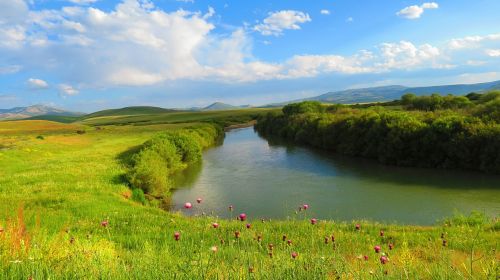 Gėlė, Pavasaris, Erzurum, Arbata, Upė, Kraštovaizdis, Gamta