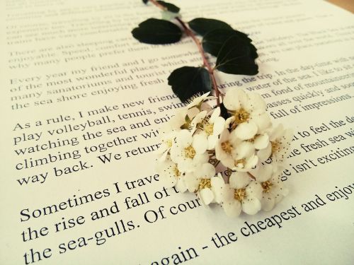 Gėlė, Knyga, Balta, Natūralus