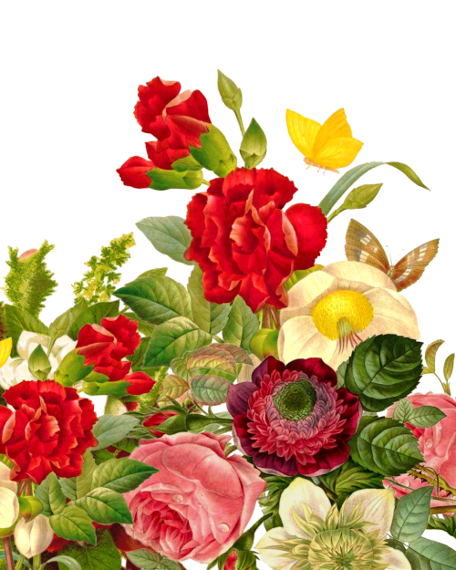 Gėlių Puokštė, Rožė, Drugelis, Gėlių Puokštė, Vestuvės, Gėlių, Gėlė, Rožinis, Gamta, Romantika, Žydėti, Raudona, Žalias, Elegancija, Romantiškas, Išdėstymas, Augalas, Krūva