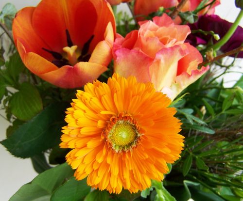 Gėlių Puokštė, Geltona-Oranžinė, Supjaustytos Gėlės