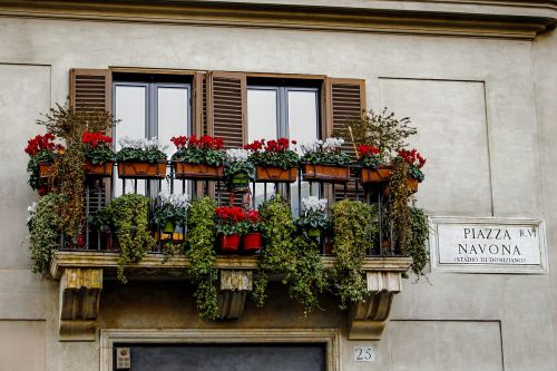 Gelės Vazonas, Gėlės, Italy, Piazza Navona, Roma, Langai