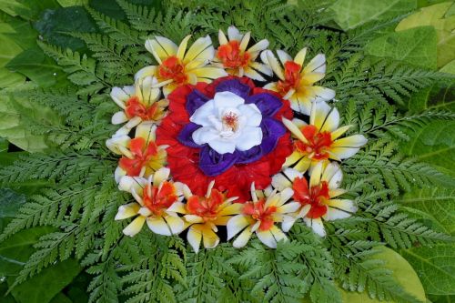 Gėlės, Pasiūlymas, Religija, Spalvos, Gėlių Kompozicija, Hinduizmas, Bali, Indonezija