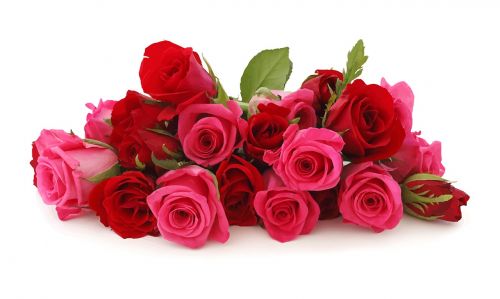 Gėlės, Rožės, Romantika, Raudona Roze, Gėlių, Valentine