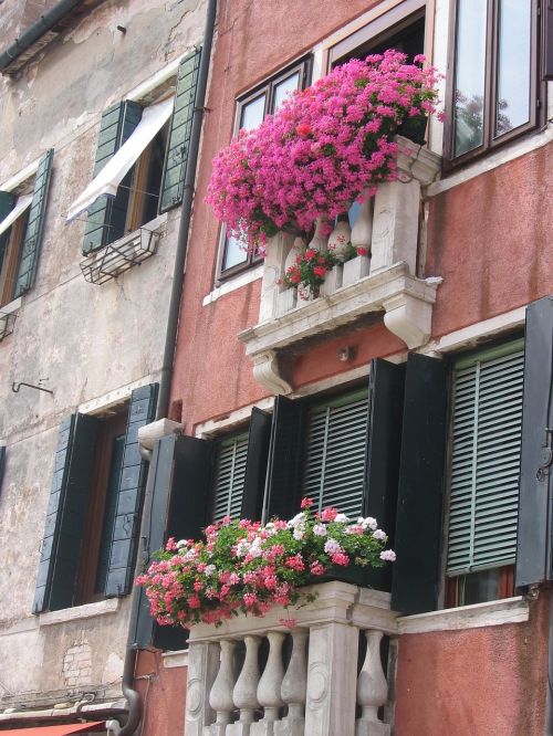 Gėlės, Langas, Garnyras, Balkonas, Namai, Grožis, Venecija, Italy