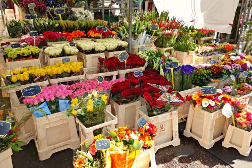 Gėlės, Floristas, Gėlių Stovas, Puokštė, Krūva, Turgus, Prekystalis