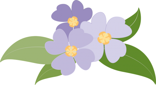 Gėlės, Augalai, Violetinė, Violetinė, Botanika, Gamta, Augalai Žydintys, Nemokama Vektorinė Grafika