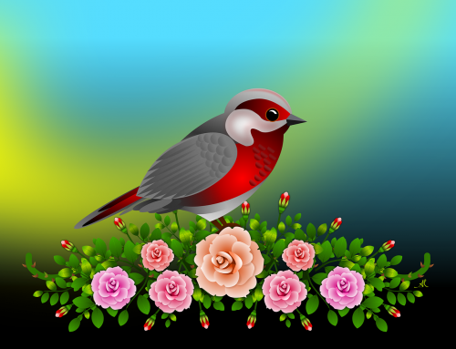 Gėlės, Rožės, Sodas, Gamta, Pavasaris, Augalas, Gėlės Rožės, Gėlė, Gyvūnas, Paukštis, Paukščiai, Paukštis