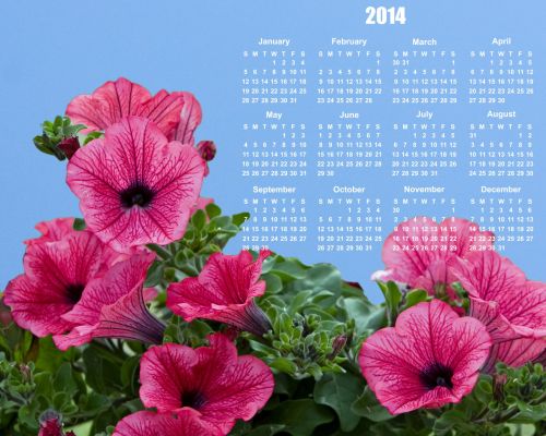 Gėlės,  Kalendorius & Nbsp,  2014,  2014,  Kalendorius,  Rožinis,  Gražus,  Šviesus,  Mėlynas,  Dangus,  Metai,  Dienoraštis,  Planuotojas,  Mėnesių,  Data,  Datas,  Gėlių,  Gėlės 2014 Kalendorius