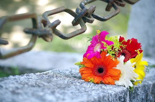Gėlės, Vestuvės, Sąjunga, Ceremonija, Apkarpyti, Nuoroda, Įsipareigojimas, Pavasaris