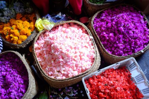 Gėlės, Gėlių Žiedlapiai, Žiedas, Bali, Siūlyti, Turgus