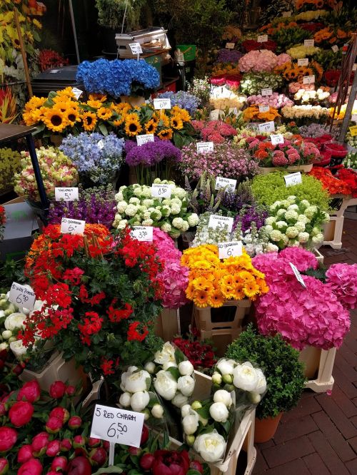 Gėlės, Turgus, Žiedas, Amsterdamas, Spalvinga, Puokštė, Žydi, Žalias, Meilė, Žydėti, Gėlių