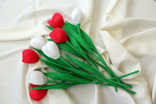 Gėlės, Apdaila, Balta - Raudona, 11 Lapkritis, Nacionalinės Spalvos, Nacionalinė Diena, Gėlių Puokštė
