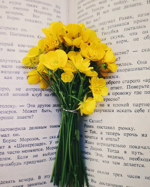 Gėlės,  Knyga,  Puokštė