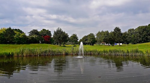 Gėlės,  Meadow,  Pavasaris,  Pobūdį,  Laukų Gėlė,  Parkas