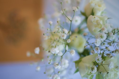 Gėlės,  Baltos Spalvos,  Šventė,  Ceremonija