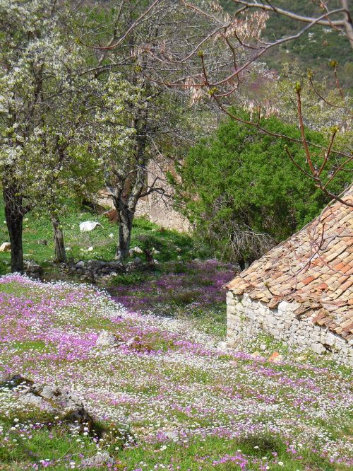 Gėlės, Corfu, Pavasaris, Peritija, Viduržemio Jūros, Graikija, Sala, Graikų Kalba, Tradicinis, Pastatas, Kaimas, Gamta, Joninis, Kraštovaizdis, Senas, Namas, Saulėtas, Mūrinis Namas