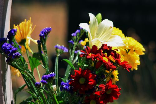 Gėlės,  Spalvinga,  Kapinės,  Atminimas,  Gėlės Ant Kapo