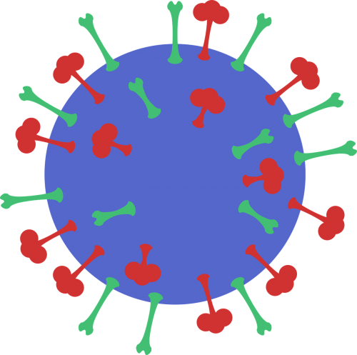 Gripas, Molekulinis Lygis, Virusas, Nemokama Vektorinė Grafika