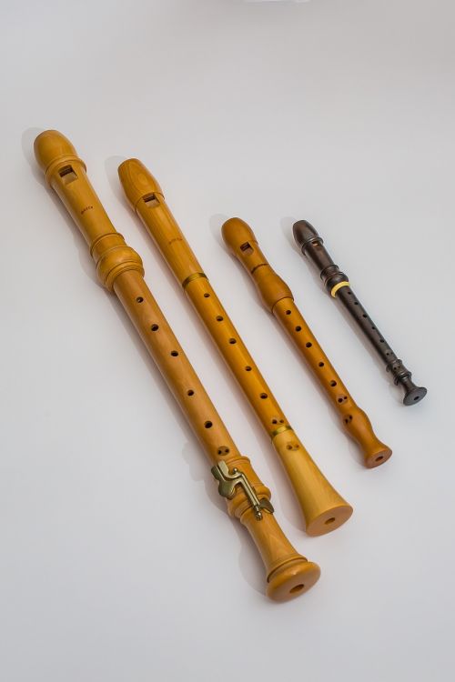 Fleita, Grotuvas, Muzikos Instrumentai, Woodwind, Medinė Fleita, Muzika, Muzikos Instrumentai Ir Mokytojai