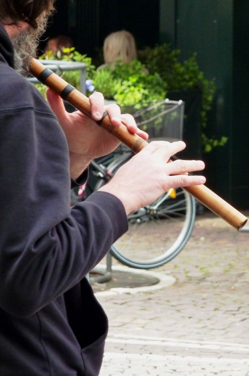 Fleita, Fleitai Žaidimas, Flautiistas, Muzika, Menas, Muzikantas, Muzikinis Instrumentas