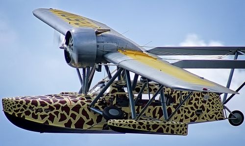 Plaukiojanti Žirafa, Plaukiojanti Valtis, Sikorsky S-39, Amfibija, Hidroplanas, Lėktuvas, Orlaivis, Skraidantis, Aviacija