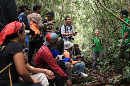 Tikslinė Grupė Diskusiją,  Srities Tyrimas,  Tyrėjas,  Pobūdį,  Miškas,  Durpių Pelkė,  Borneo,  Nacionalinis Parkas