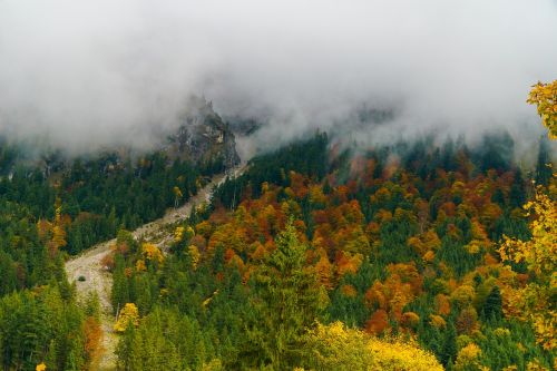 Rūkas, Oberstdorf, Medžiai, Miškas, Suedallgaeu, Kalnai, Kraštovaizdis, Gamta, Alpių, Panorama, Ruduo, Debesys