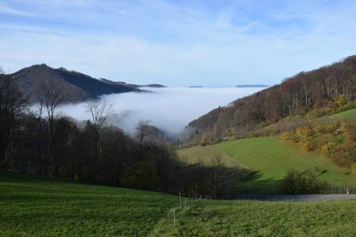 Rūkas, Ruduo, Kraštovaizdis, Nuotaika, Medžiai