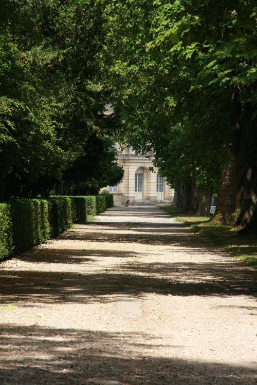 Fontainebleau, Pilis, Toli, Parkas, Šviesa, Šešėlis