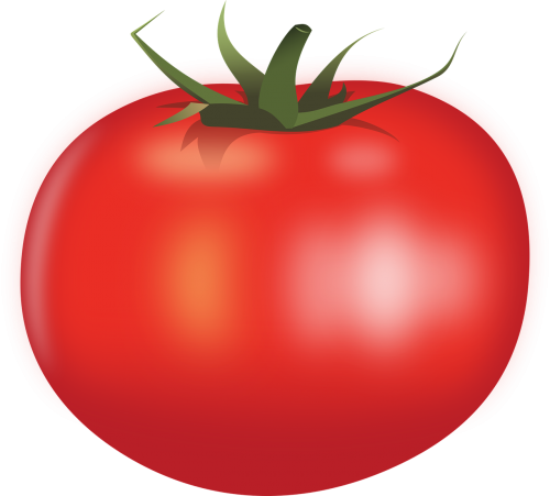 Maistas, Pomidoras, Daržovių, Nemokama Vektorinė Grafika