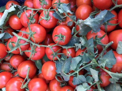 Maistas,  Daržovių,  Pomidoras,  Vaisiai,  Be Honoraro Mokesčio