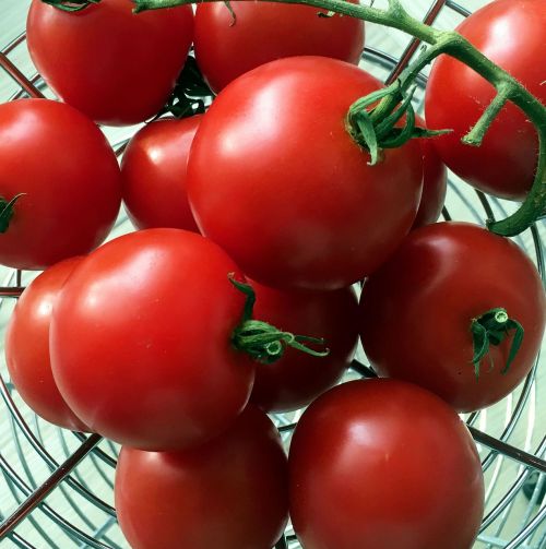 Maistas,  Pomidoras,  Augti,  Daržovės,  Be Honoraro Mokesčio