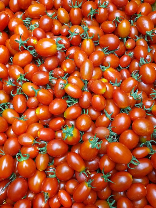 Maisto,  Pomidorų,  Daržovių,  Augti,  Vaisiai
