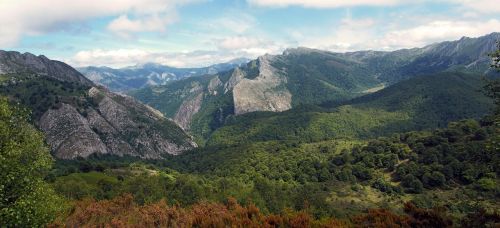 Miškas, Tinklai, Asturias, Ispanija, Kraštovaizdis, Gamta, Medžiai, Kalnai, Žalias